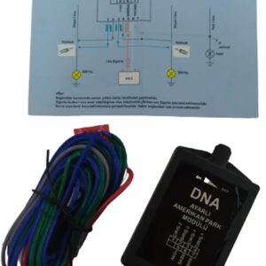 AMERİKAN PARK MODÜLÜ DNA